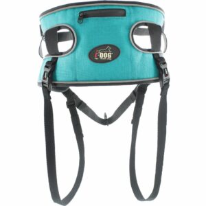 ALM - Baudrier Canyon Canicross I-DOG