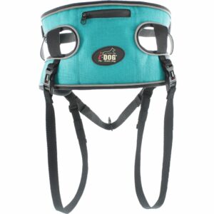 ALM - Baudrier Canyon Canicross I-DOG 3