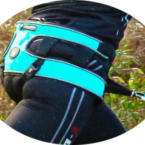 ALM - Baudrier Canyon Canicross I-DOG 5