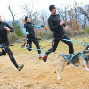 ALM - Baudrier Canyon Canicross I-DOG 6
