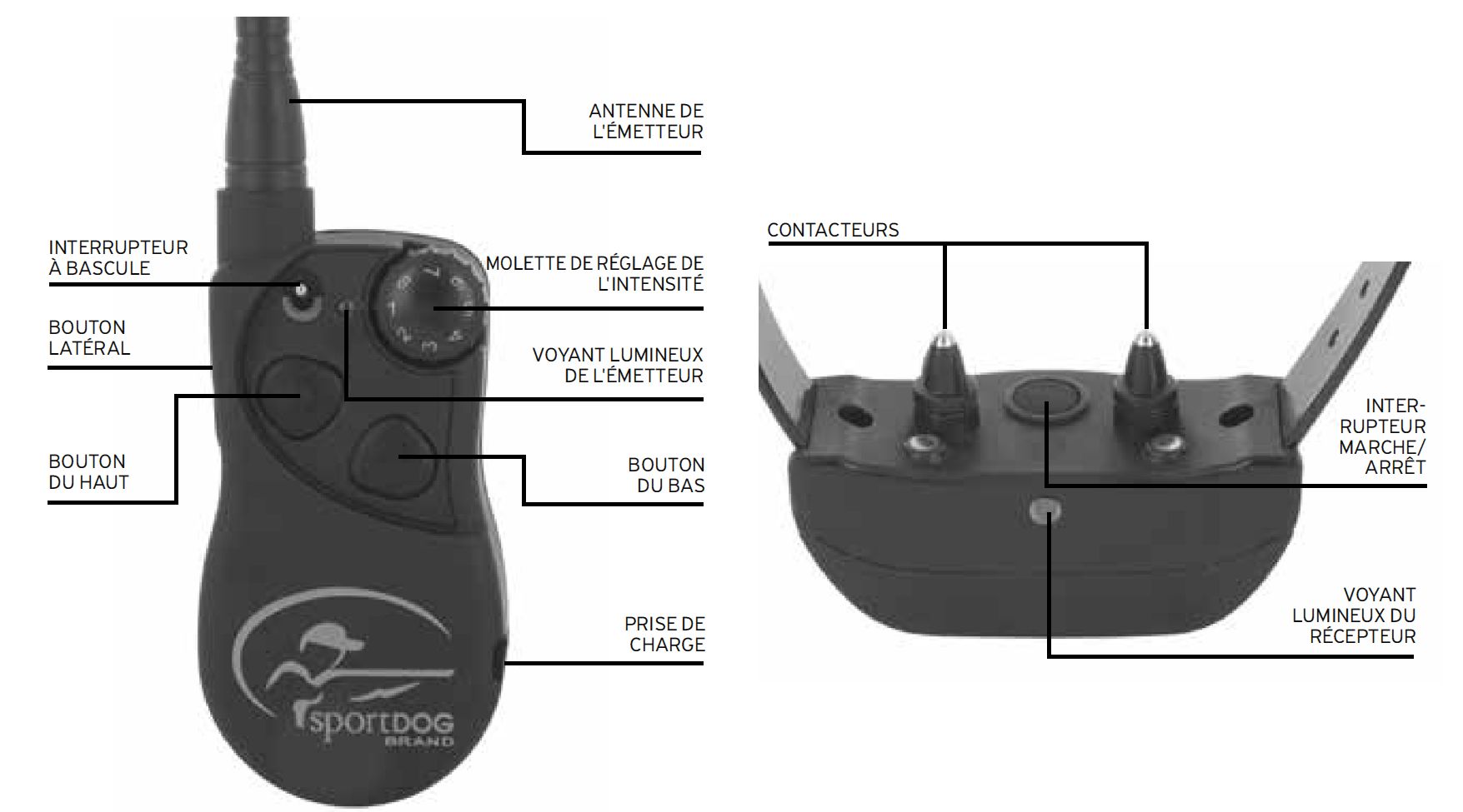 Collier Dressage 1600 mètres Pour Chien de Chasse | SportDog SD-1825E