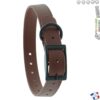 Collier Boucle Marron 60cm Pour Chien CTECH CaniHunt