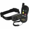 Collier de dressage 100m grand chien