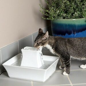 Fontaine-en-céramique-de-2-L-Pagoda-Drinkwell-PetSafe-2.jpg