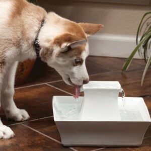 Fontaine-en-céramique-de-2-L-Pagoda-Drinkwell-PetSafe-4.jpg