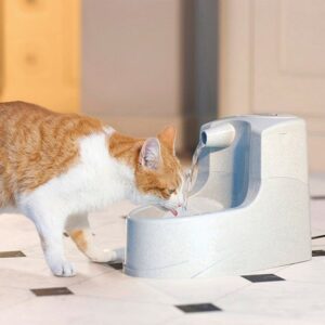 Fontaine-mini-pour-chat-et-chien-Petsafe-Drinkwell-6.jpg