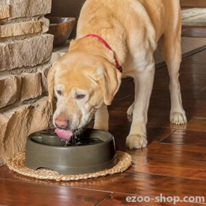 Fontaine-à-eau-Drinkwell-avec-flux-pour-Chien-et-chat-Petsafe-Current-1.jpg