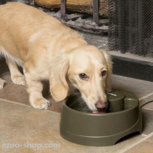Fontaine-à-eau-Drinkwell-avec-flux-pour-Chien-et-chat-Petsafe-Current-3.jpg