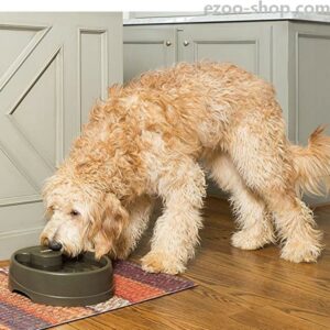 Fontaine-à-eau-Drinkwell-avec-flux-pour-Chien-et-chat-Petsafe-Current-6.jpg