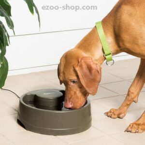 Fontaine-à-eau-Drinkwell-avec-flux-pour-Chien-et-chat-Petsafe-Current-taille-m-3.jpg