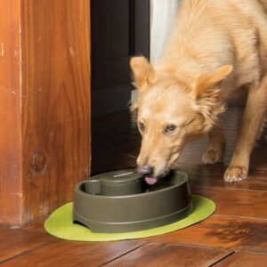 Fontaine-à-eau-Drinkwell-avec-flux-pour-Chien-et-chat-Petsafe-Current-taille-m-4.jpg