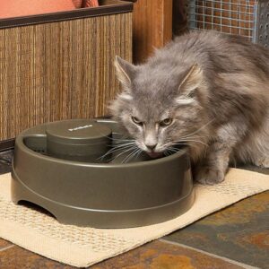 Fontaine-à-eau-Drinkwell-avec-flux-pour-Chien-et-chat-Petsafe-Current-taille-m-5.jpg