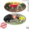 Gilet de protection Taille 55 Orange Canihunt Dog Armor V2 Chien de chasse
