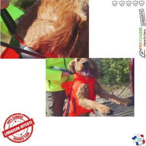 Gilet de protection Canihunt Dog Armor Orange V2 Chien de chasse 4