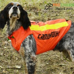 Gilet de protection pour on sale chien de chasse browning