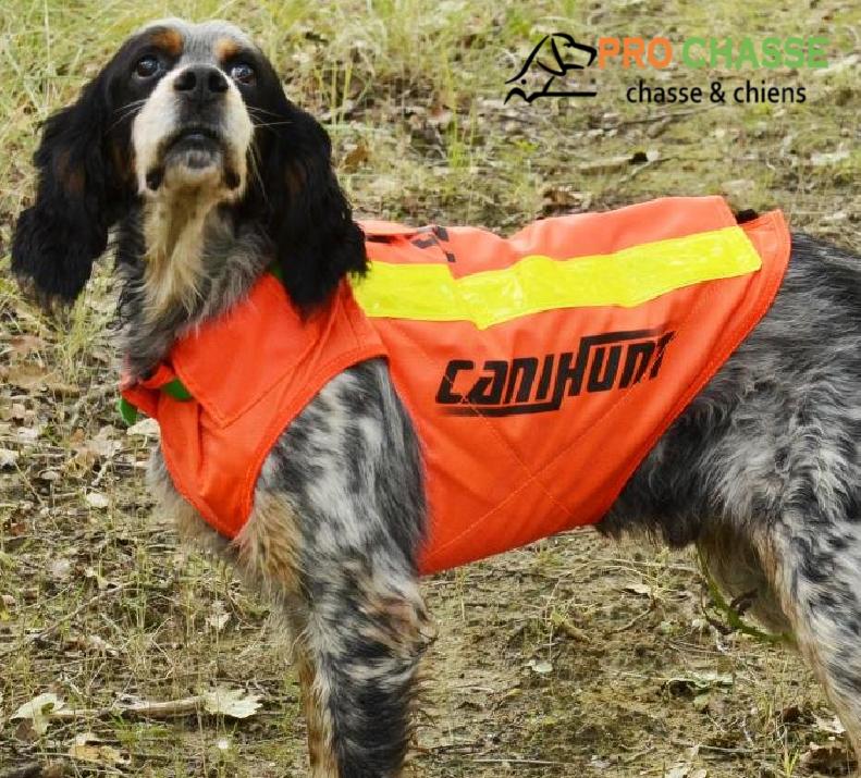 Gilet de signalisation Flash V2 Taille S pour chien de chasse - Canihunt -  ProChasse