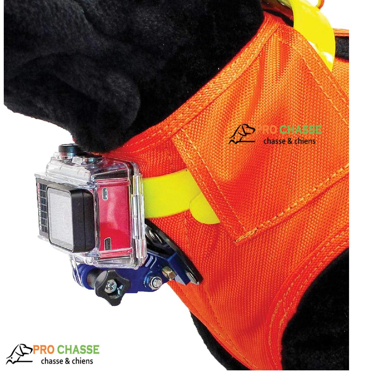 Gilet de signalisation Flash V2 Taille S pour chien de chasse - Canihunt -  ProChasse