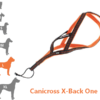 ONE – Harnais Canicross pour grand chien X-Back idog