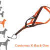 ONE – Harnais Canicross pour moyen chien  X-Back idog