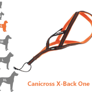 ONE  - Harnais Canicross pour petit chien  X-Back idog