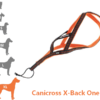 ONE – Harnais Canicross pour très grand chien  X-Back idog