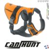 Harnais M pour Chien de Chasse – Signalisation CaniHunt