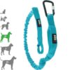 ALM – Longe opale Canicross I-Dog 240 cm pour moyen chien
