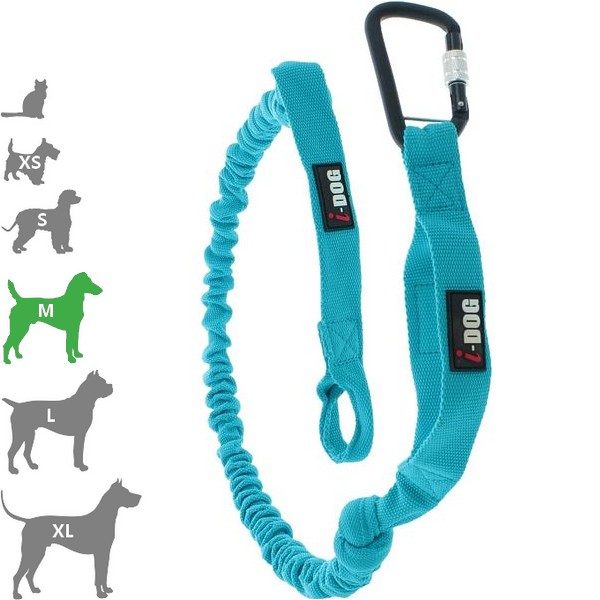 Laisse de Traction Canicross One I-Dog - Laisses Chien - Activité  extérieure I-Dog