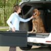 Rampe Pliable Ultralight en 2 parties Pour Chien