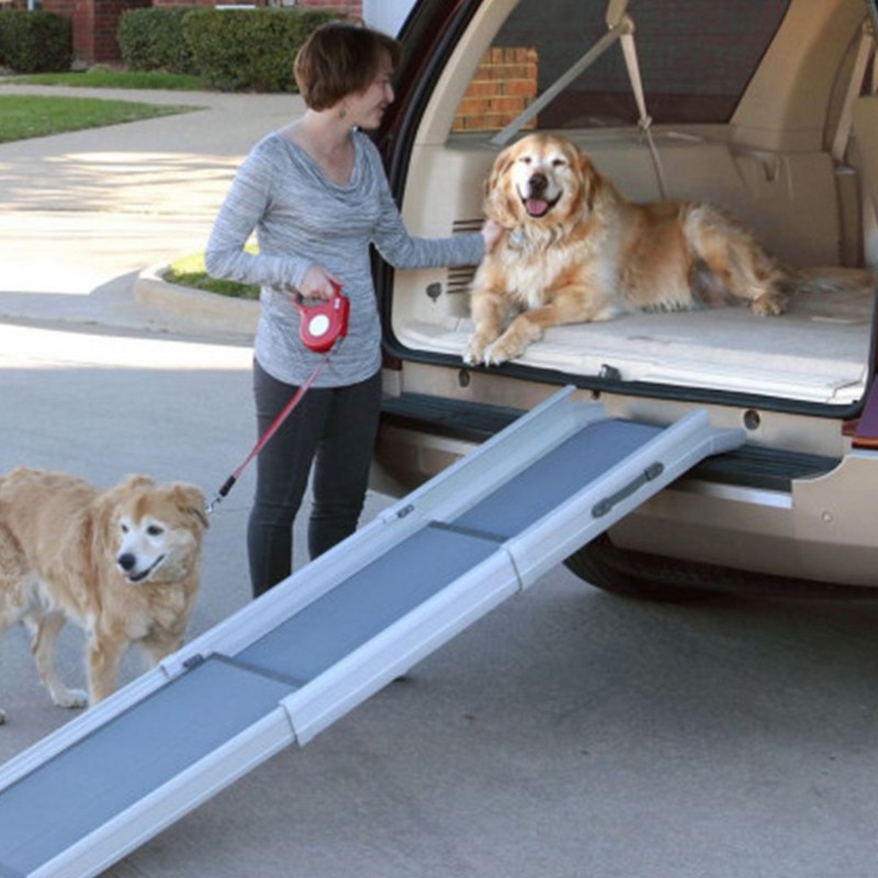 Rampe télescopique compacte pour chiens Happy Ride™ de PetSafe® – PetSafe®  France