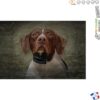 Chargeur Pour Collier SportDog SBC-10R-E RFA-106
