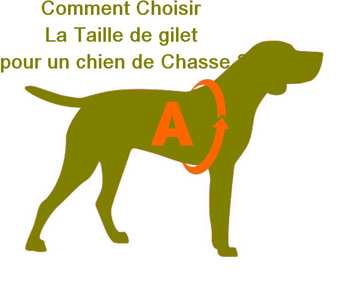 GUIDE DES TAILLES HARNAIS CHIENS – aufildeschiens