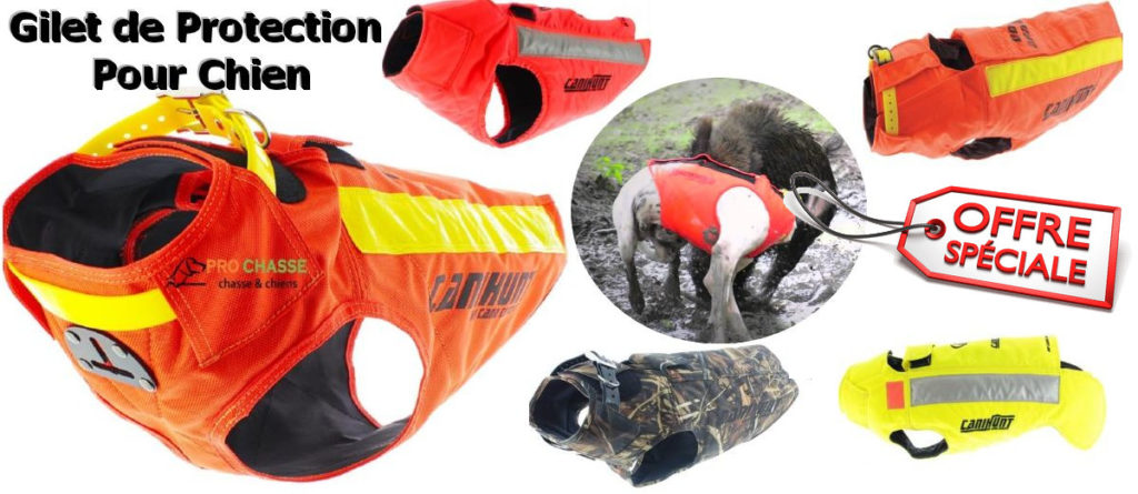 Comparaison des Gilets de Protection pour Chien de Chasse