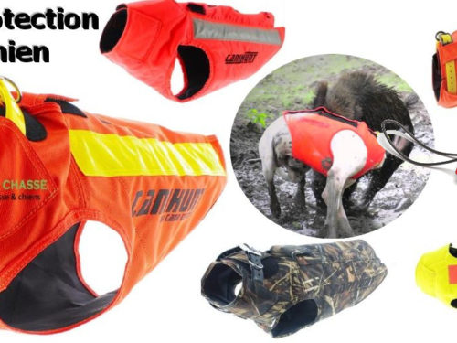 Comparaison des Gilets de Protection pour Chien de Chasse