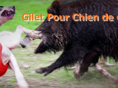 Gilet Pour Chien de chasse