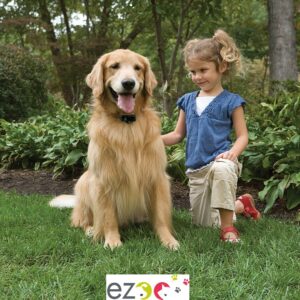Clôture-Anti-Fugue-Invisible-Pour-Chien-PetSafe-PIG19-16412-utilisation.jpg