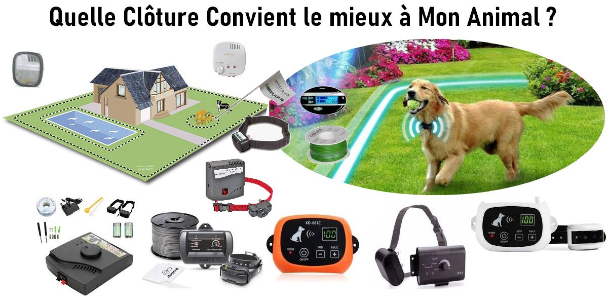 Clôture Anti Fugue Pour chien Au Sol de Plus de 3,6Kg | 1300 mètres carrés Petsafe