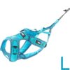 ALM L – Harnais Réglable Canicross Pour Chien Taille L PHOENIX