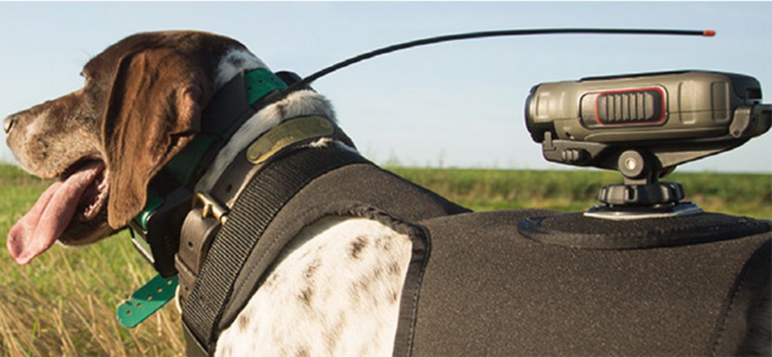 Carte SportDog Tek 2.0 Pack France Mise à Jour