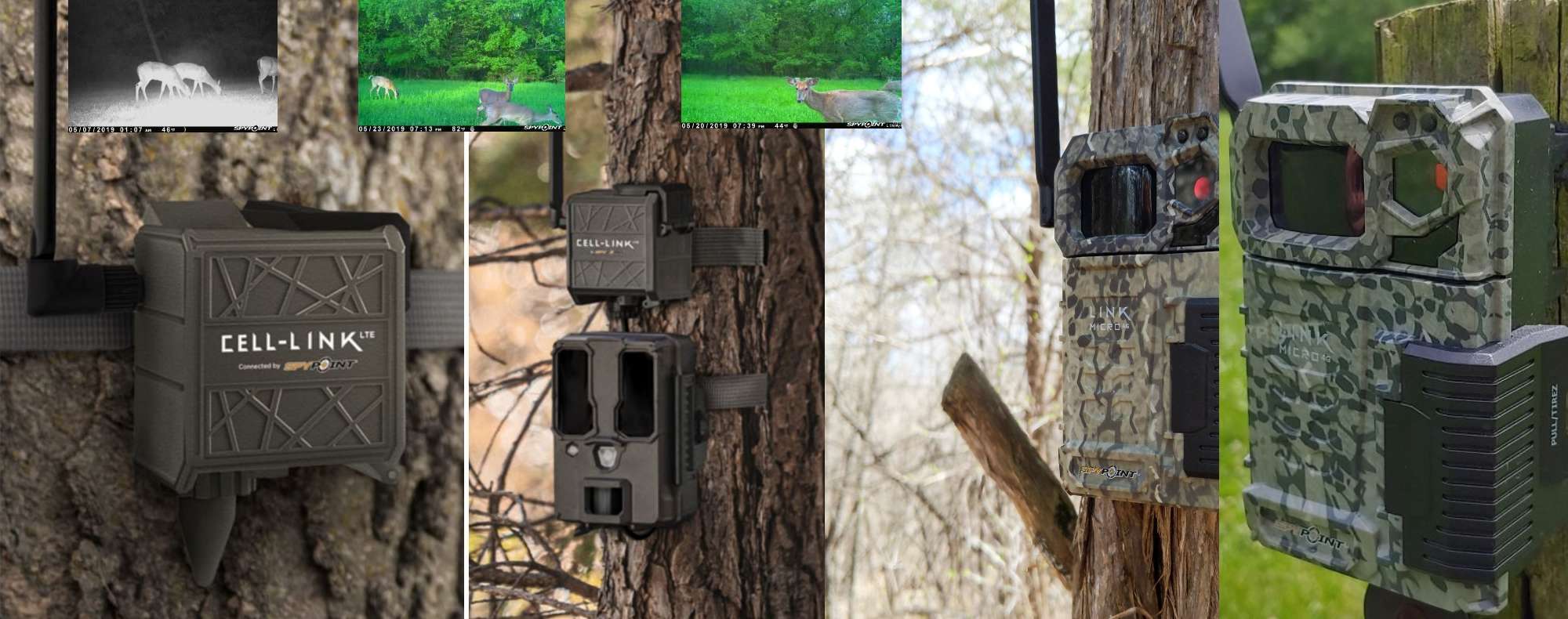 cameras de chasse
