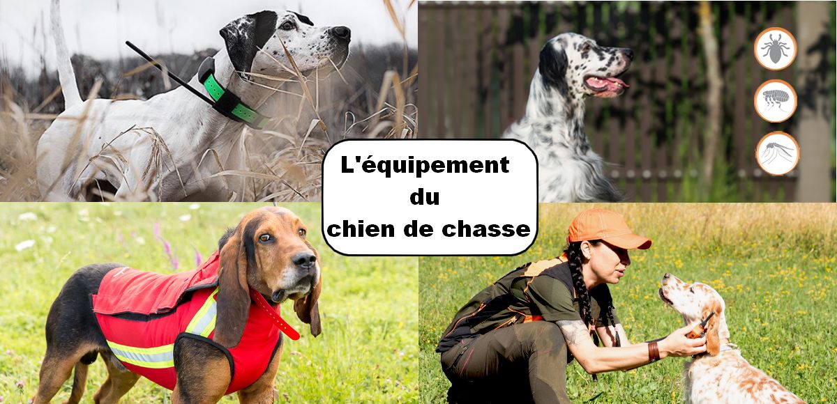 Gilet de protection TECKEL Orange Canihunt Dog Armor V2 Chien de chasse -  ProChasse