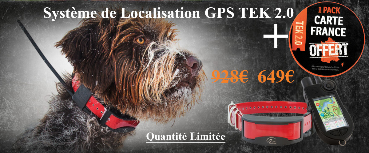 Bagues de Couleurs pour Collier TEK SportDOG