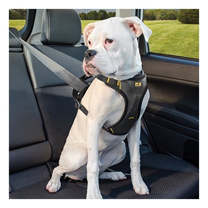 Kurgo - Attache Ceinture de Sécurité Voiture Tether pour Chien