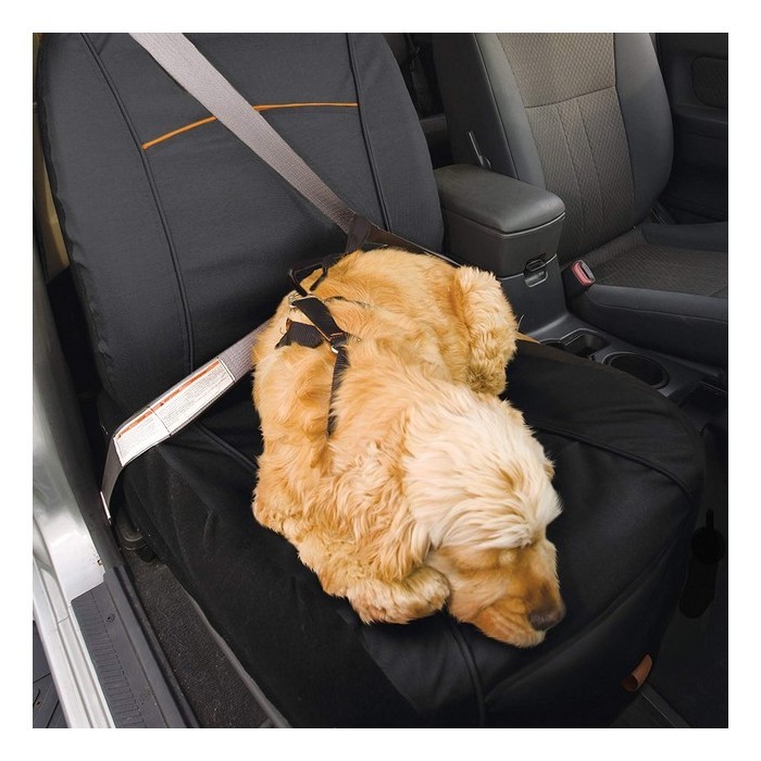 Accessoire Auto - Protection Coffre Voiture Chien Anti-Déchirure