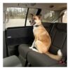 Double Panneaux de Protection Portière De Voiture| Chien