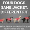 Manteau Gilet pour Chien Réversible Imperméable | Kurgo