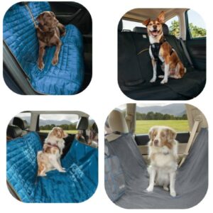 ARTAND Protection Voiture Chien, Housse Confortable et Sécurité, 100%  Étanche, Antidérapante et Anti-Rayures, Universal Siege pour Petits, Moyens  et Grands Chiens - ProChasse