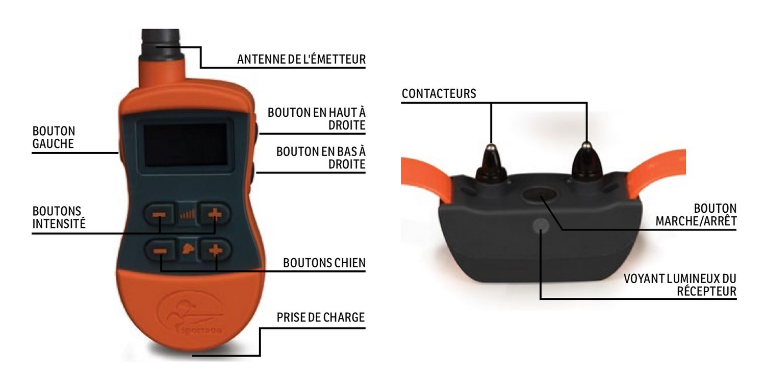 Collier Dressage 1200 mètres Pour Chien de Chasse | SportDog SD-1275E