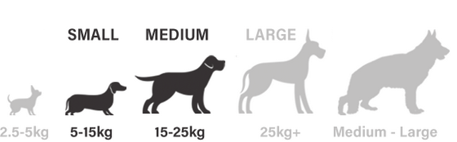 Clôture Anti-Fugue filaire avec collier à pile pour chien