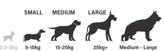 Clôture Anti-Fugue Invisible Sans Fil avec collier rechargeable Pour Chien ?